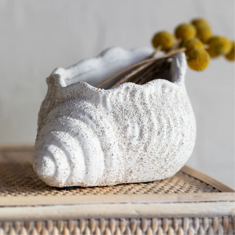 shell planter lifestyle image