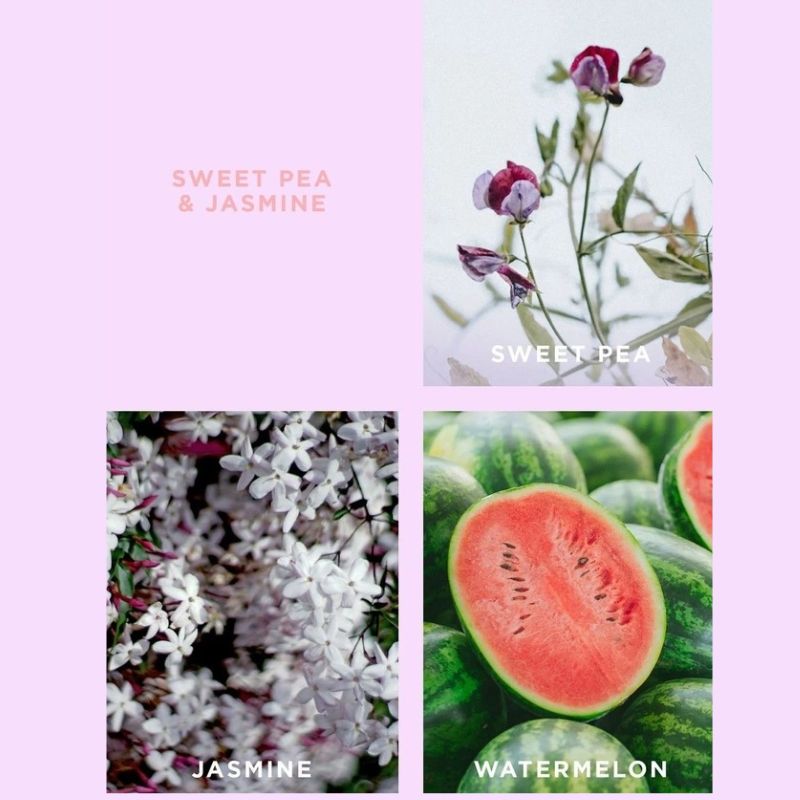ecoya sweet pea and jasmine