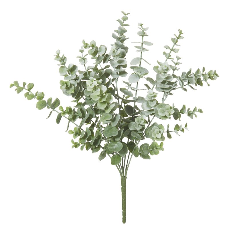 plant eucalyptus bush grey