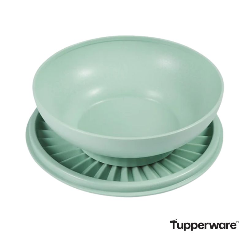 Tupperware Heritage salad bowl open image