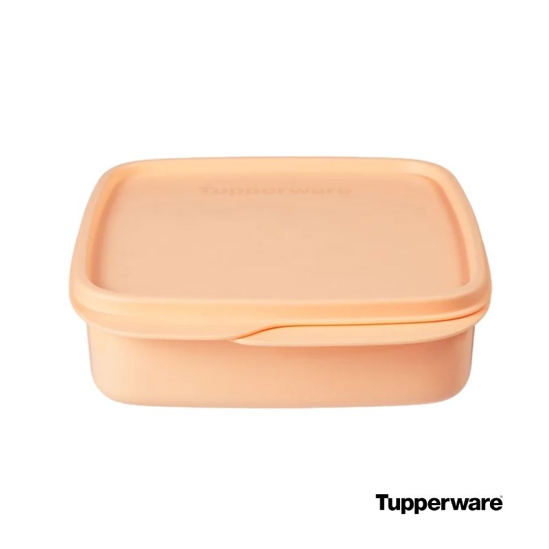 Tupperware lunch box open top view