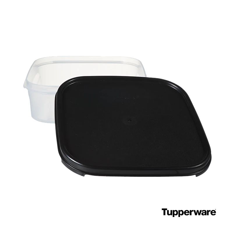 Tupperware modular dry food container 1.2L lid veiw